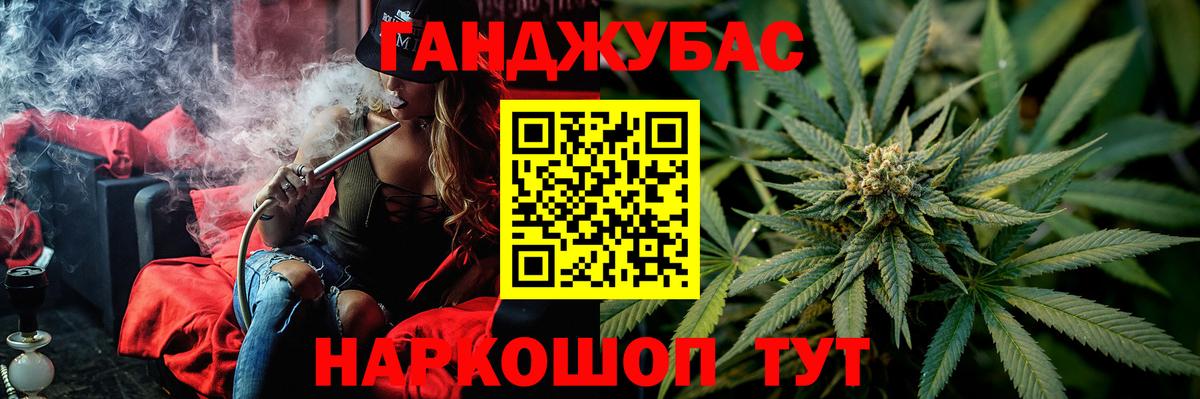 Бошки Шишки план Абинск